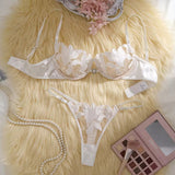 Elegant See Through Lace Bra Panty Set