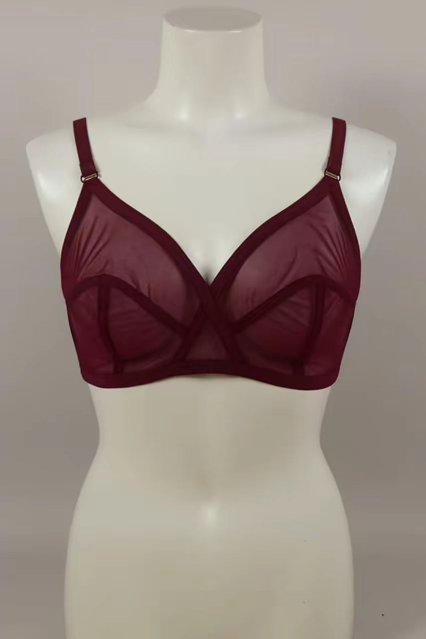 Luxury Sheer Mesh Bra for Women – Premium Transparent Net Lingerie