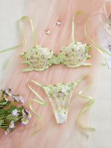 Dual-Tone Embroidered Lace Women's Lingerie Bra Set