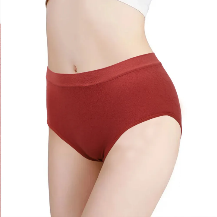 Women's Transparent Underwear (PACK OF 6)